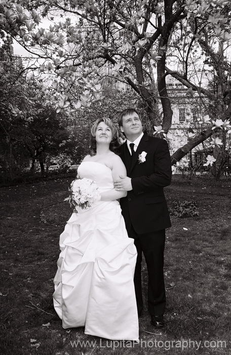 ll-wedding-photographer-ny