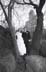 z-wedding-photography-nyc